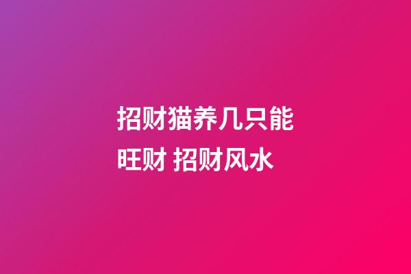 招财猫养几只能旺财 招财风水
